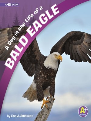 cover image of A Day in the Life of a Bald Eagle
